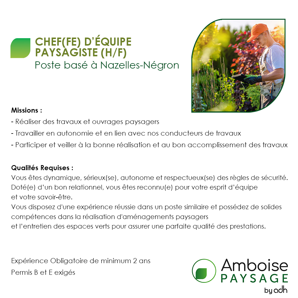 modele_annonce_site_internet_chef-equipe
