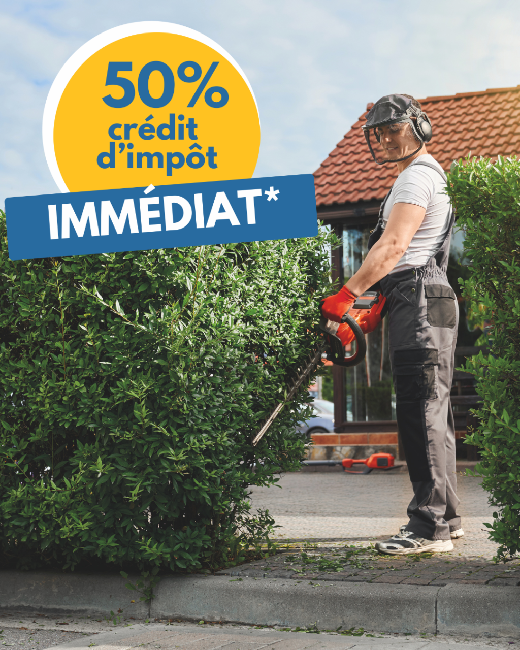 Taille de haies à Amboise - Jardiloire Services - 50% avance immédiate