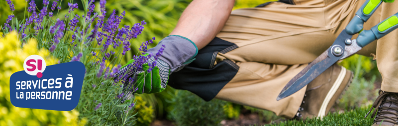 Bandeau Services à la personne